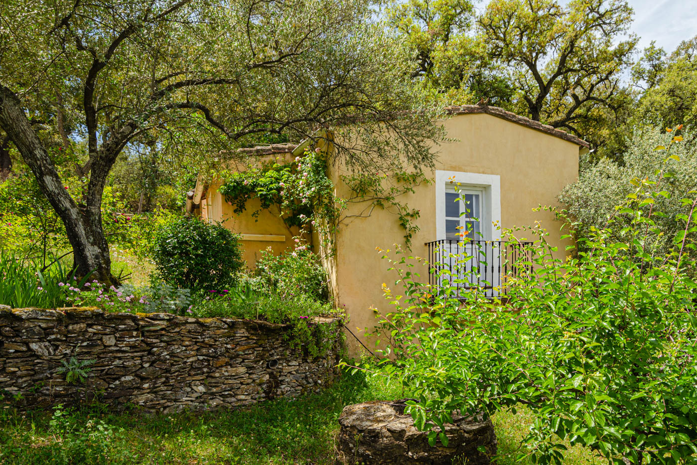 Estás en el Parque Natural de Aracena
